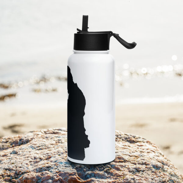 "I Deliver Shit" ~ Stainless Steel Water Bottle With Straw Lid - Image 3